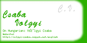 csaba volgyi business card