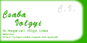 csaba volgyi business card
